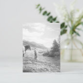 ボーイフライフィッシング。 ポストカード (スタンド正面)