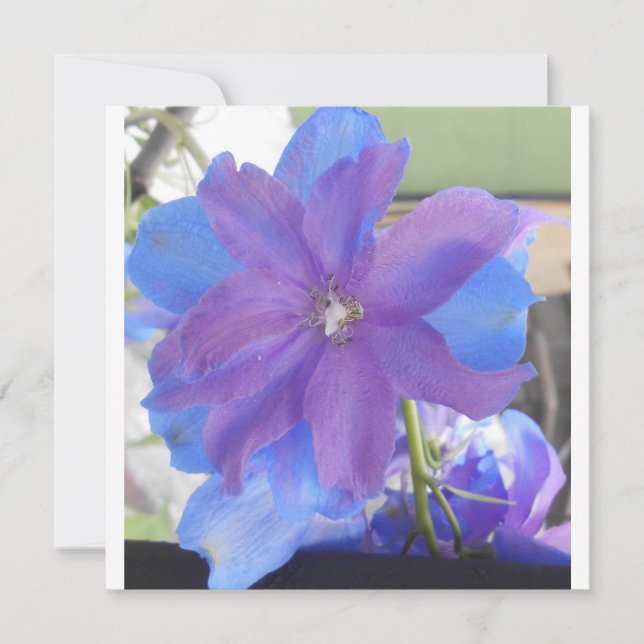 ボーエン (正面)