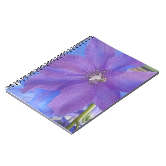 ボーエン ノートブック (左側)