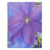 ボーエン ノートブック (正面)