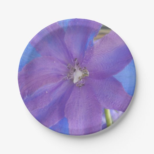 ボーエン ペーパープレート (正面)