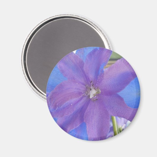 ボーエン マグネット (正面/裏面)