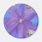 ボーエン マグネット (正面)