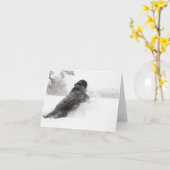 ボーオバマ札カード – サウスグラウンド カード (黄色い花)