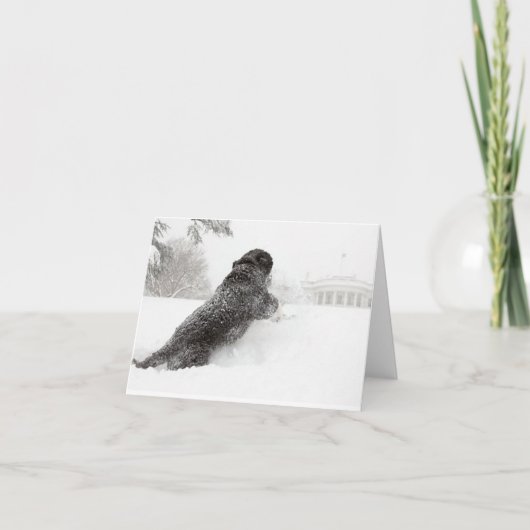 ボーオバマ札カード – サウスグラウンド カード (正面)