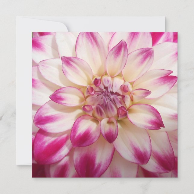 ボークス (正面)