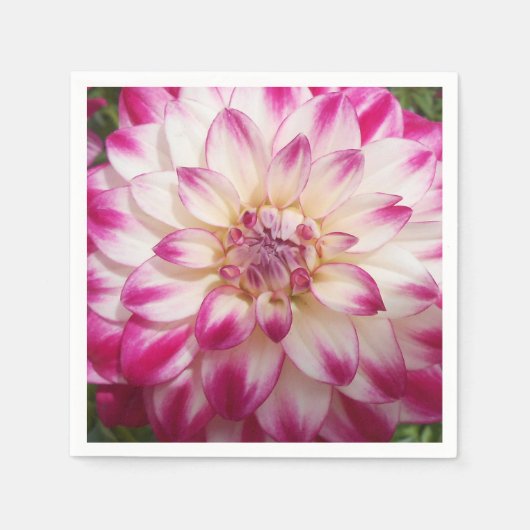 ボークス スタンダードカクテルナプキン (正面)