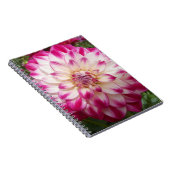 ボークス ノートブック (右側)