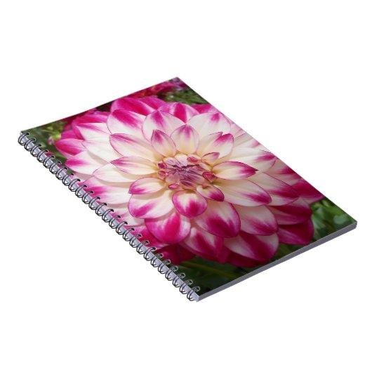 ボークス ノートブック (右側)