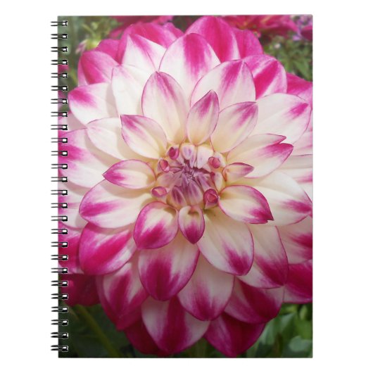 ボークス ノートブック (正面)