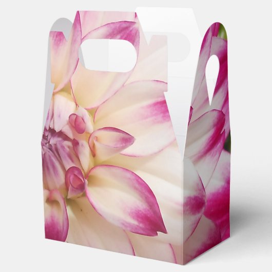 ボークス フェイバーボックス (オープン)