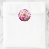 ボークス ラウンドシール (バッグ)