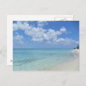 ボーグランドタークポストカード ポストカード (正面/裏面)