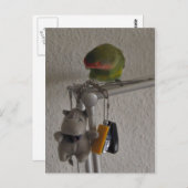 ボーゲル ポストカード (正面/裏面)