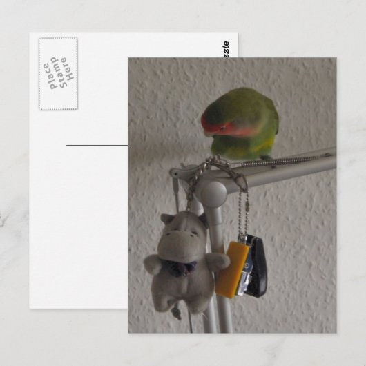 ボーゲル ポストカード (正面/裏面)