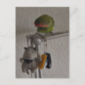 ボーゲル ポストカード (正面)