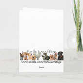 ボーダーコリーから カード (裏面)