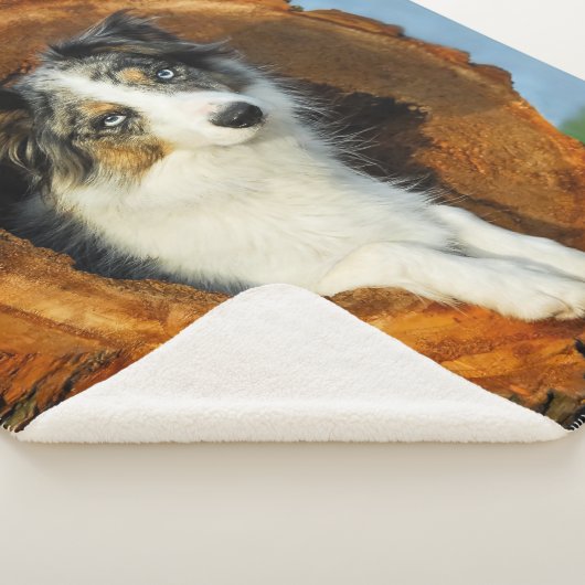 ボーダーコリーのオン青いMerleののこ仕上げハンマーの写真撮影 シェルパブランケット (3/4)