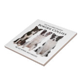 ボーダーコリーのタイル タイル (側面)