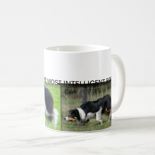 ボーダーコリーのマグ コーヒーマグカップ (正面右)