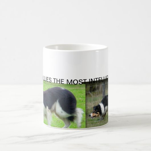 ボーダーコリーのマグ コーヒーマグカップ (中央)