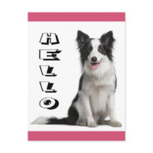 ボーダーコリーの仔犬のポストカード