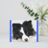ボーダーコリーの仔犬 ポストカード (スタンド正面)