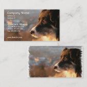 ボーダーコリーの写真の名刺 名刺 (正面/裏面)