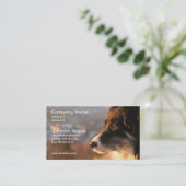 ボーダーコリーの写真の名刺 名刺 (スタンド正面)