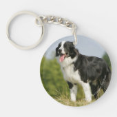 ボーダーコリーの喘ぐ立つこと キーホルダー (正面)