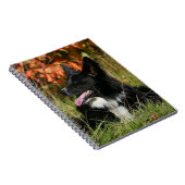 ボーダーコリーの喘ぐ置くこと ノートブック (右側)