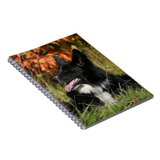ボーダーコリーの喘ぐ置くこと ノートブック (右側)