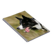 ボーダーコリーの喘ぐHeadshot 2 ノートブック (右側)