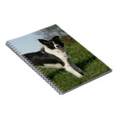 ボーダーコリーの地位 ノートブック (右側)