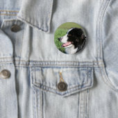 ボーダーコリーの子犬の置くこと 缶バッジ (インサイチュ)