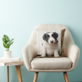 ボーダーコリーの子犬 クッション (椅子)