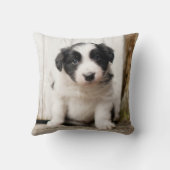 ボーダーコリーの子犬 クッション (裏面)