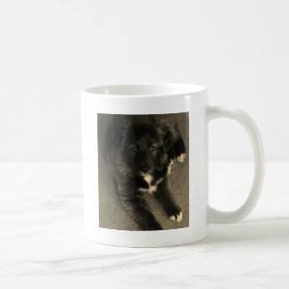 ボーダーコリーの子犬 コーヒーマグカップ