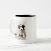 ボーダーコリーの子犬 ツートーンマグカップ (正面左)