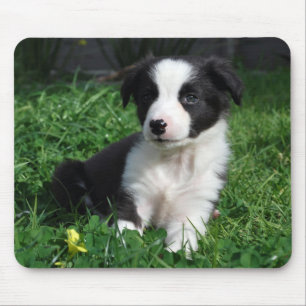 ボーダーコリーの子犬 マウスパッド