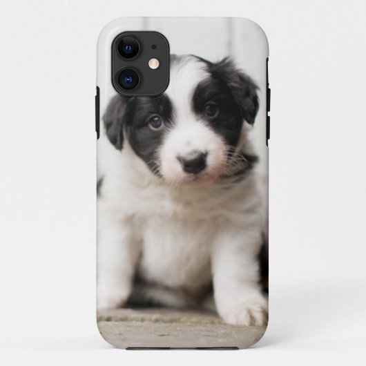 ボーダーコリーの子犬 Case-Mate iPhoneケース (裏面)