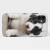 ボーダーコリーの子犬 Case-Mate iPhoneケース (裏面(横))