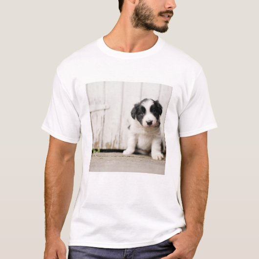 ボーダーコリーの子犬 Tシャツ (正面)