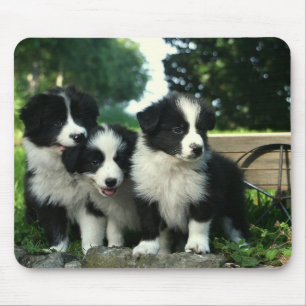 ボーダーコリーの小犬のマウスパッド マウスパッド
