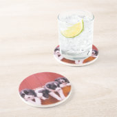 ボーダーコリーの小犬動物のコースター コースター (側面)