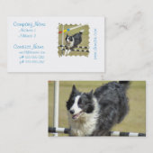 ボーダーコリーの敏捷の名刺 名刺 (正面/裏面)