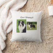 ボーダーコリーの枕 クッション (ブランケット)