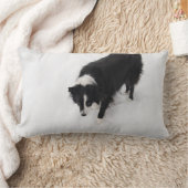 ボーダーコリーの枕 ランバークッション (ブランケット)