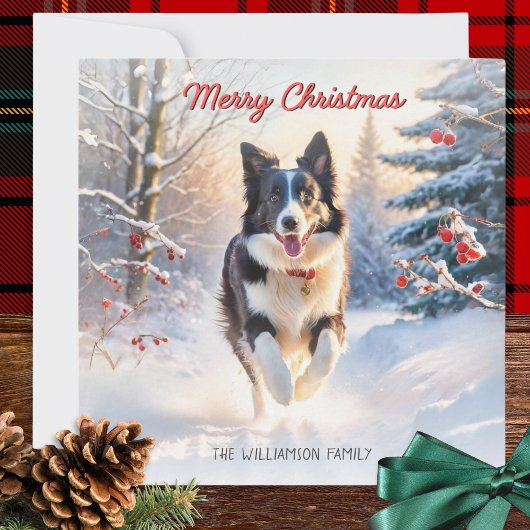 ボーダーコリーの犬と雪のメリークリスマス シーズンカード