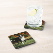 ボーダーコリーの秋の地位 コースター (右側)